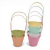 florpol.pl 12943.png