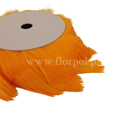 piórka na szpuli 1szt karotka (01030081)