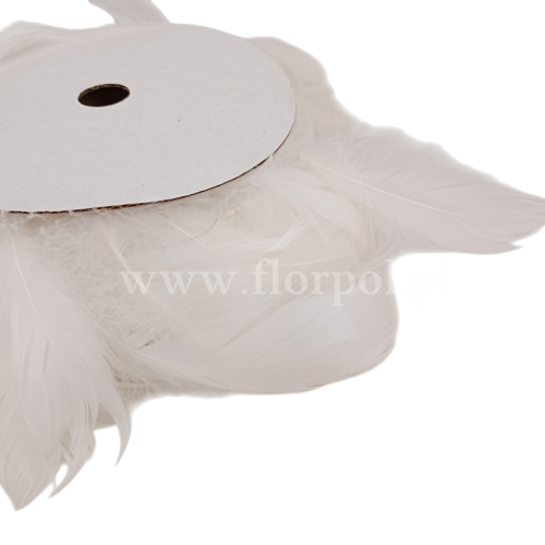 piórka na szpuli 1szt białe(01030083)