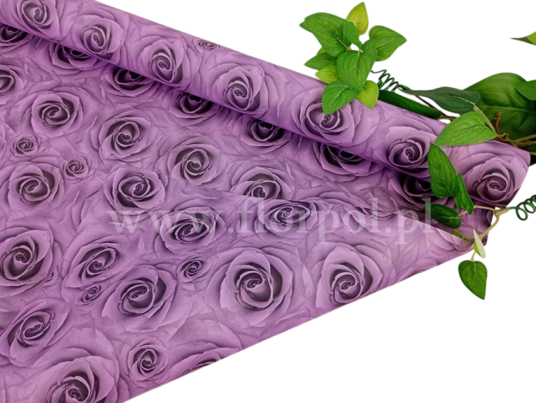 12.png