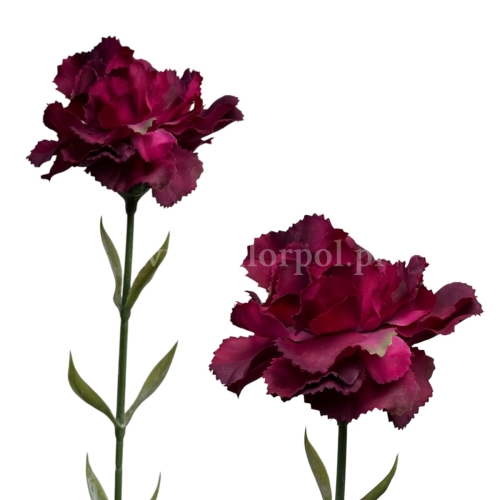 Goździk atłasowy pojedynczy 1szt #3369 burgundy (SUN005)