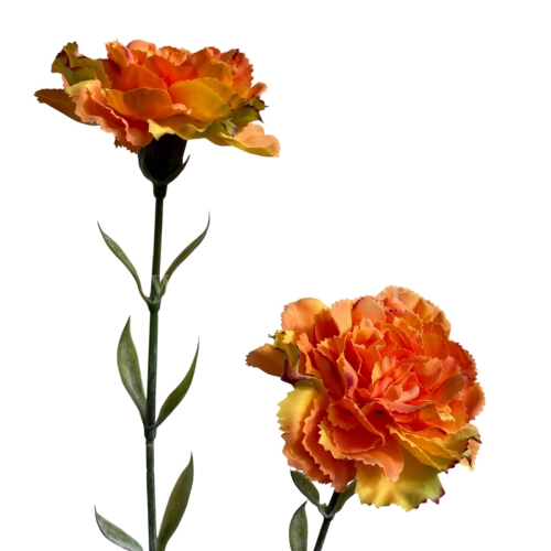 Goździk  atłasowy pojedynczy 1szt  #2539V tea (SUN005)