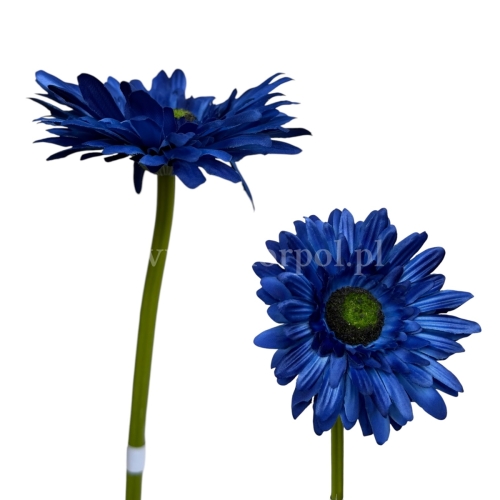 Gerbera łodyga 6szt #2934 niebieski (SUN529)