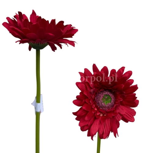 Gerbera łodyga 6szt #1222A czerwony (SUN529)
