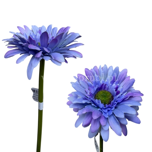 Gerbera łodyga 6szt #1328B blue/violet (SUN529)