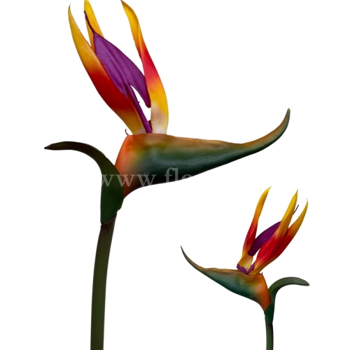 Strelicja  gumowa 1szt #004 hot tea (ANA1004)