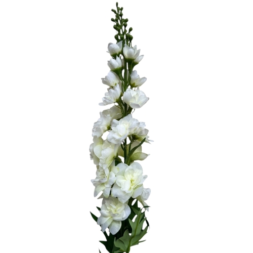 Ostróżka ogrodowa 1szt #1652A white/green (SUN498)