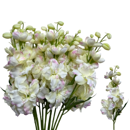 ostróżka ogrodowa niska 12szt #2148 pistacja/róż (SUN476)