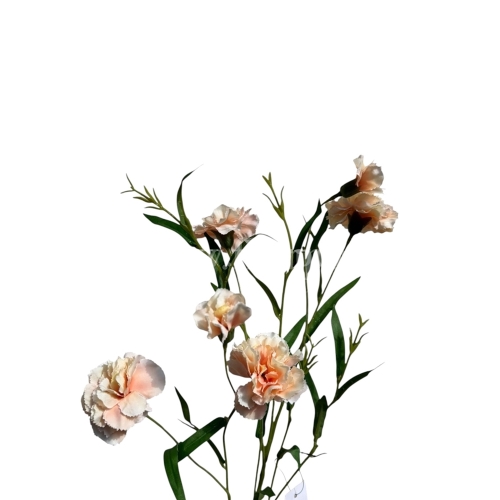 Goździk drobny łodyga 1szt #2470 deep peach (SUN641)