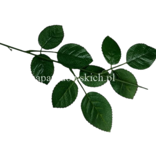 łodyga do róży 24szt zieleń 