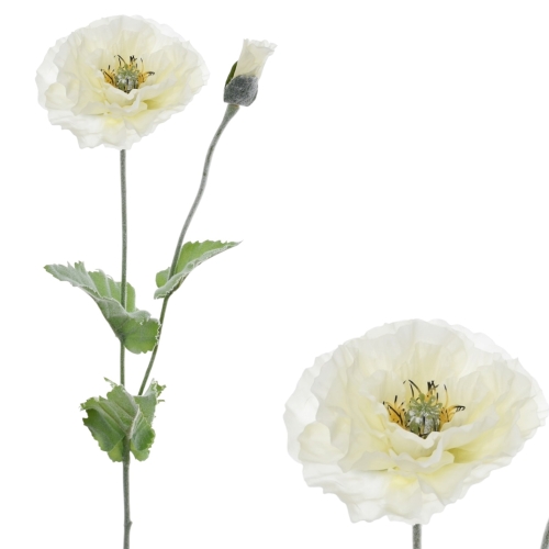 pojedynczy mak 1szt cream (FMN1009) B1332026B