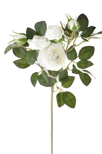 Różyczki na łodydze 6szt #1583 deep cream (SUN760)