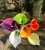 IMG_0949.jpeg