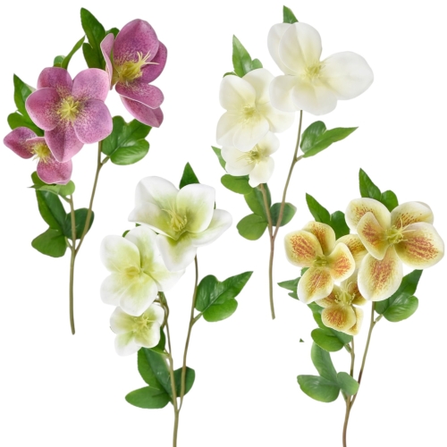 Ciemiernik gałązka KARTON MIX - 36 szt (WEI1023)