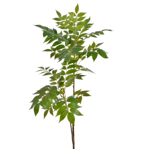 Sumak gałązka GREEN (WEI1026)