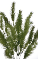TIK151##GREEN#2_m.jpg