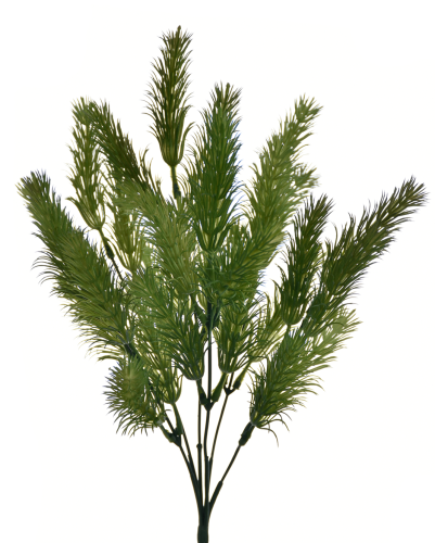 Glon gałązka bukiet GREEN (TIK151)