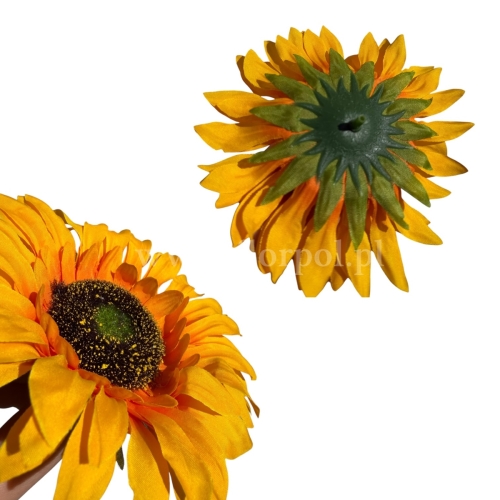 Słonecznik wyrobowy PACZKA - 12 szt (T60-10Head)