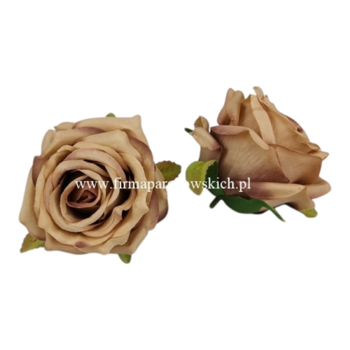 róża otwarty pączek 12szt #27L cappucino (LY003)