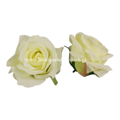 róża otwarty pączek 12szt #0103 pudrowa cytryna (LY003)