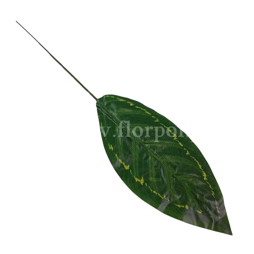 Listek difenbachia 12szt odc.zielonego (B1/1)