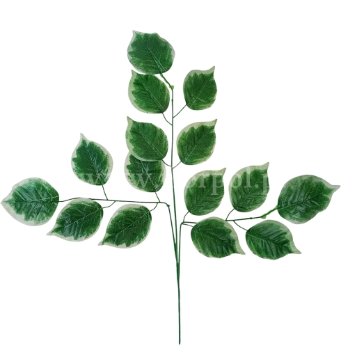 Gałąź trójka z cieniowanym liściem 12szt zielony/brzeg ecru