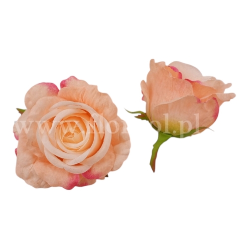Róża wyrobowa usztywniana 12szt #10  odc.krem/różowy cień (ROK)