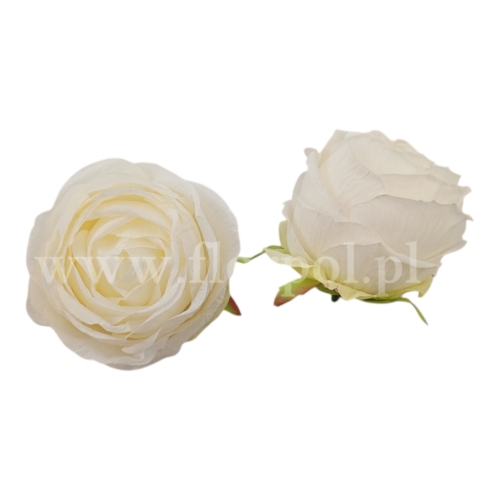 Róża wyrobowa kulka 12szt #1 ecru (ROB)
