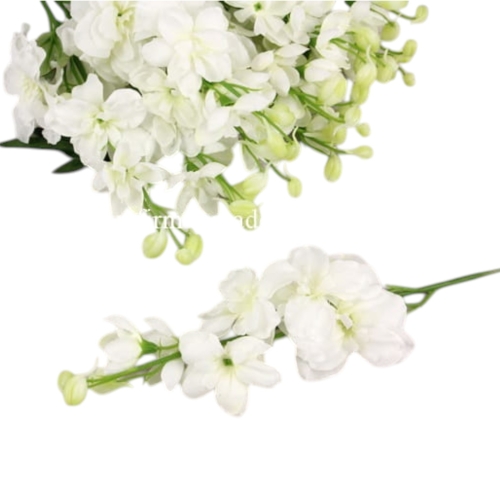 Ostróżka ogrodowa  niska 12szt #130 biały  (SUN476)