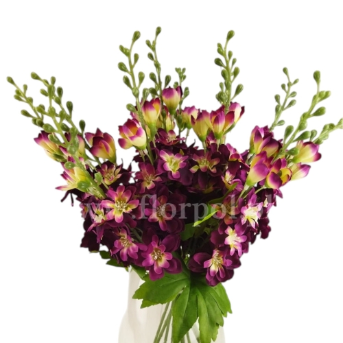 ostróżka niska - karton 120szt  amarant/pistacja (LYB051)