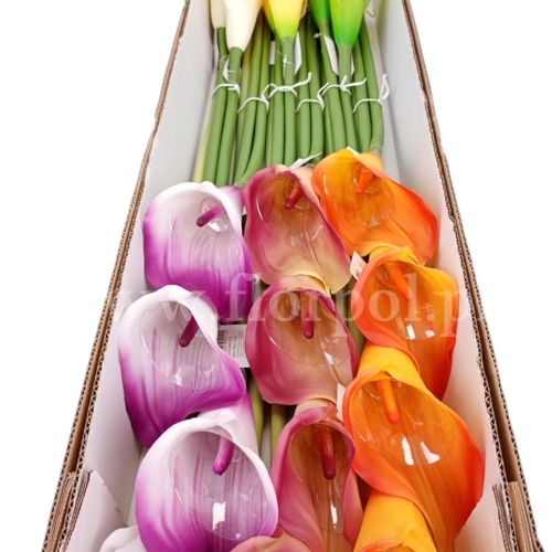 kalla gumowa - karton 24szt #1 mix (ANA1013)