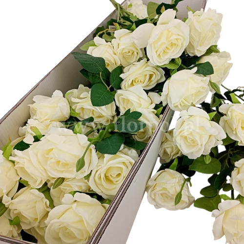 Wysoki bukiet róż 1szt cream (FRA-77707)