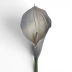 kalla gumowa  #105S grey (ANA1013)