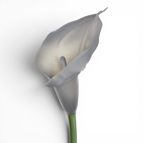 kalla gumowa  #105S grey (ANA1013)