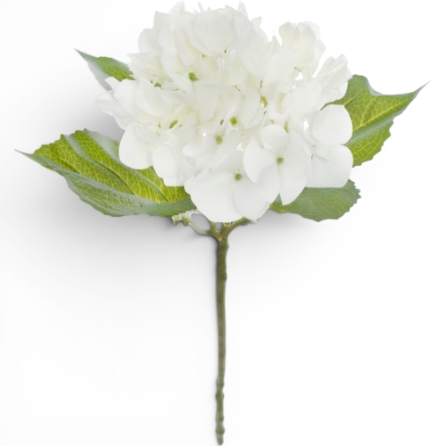 hortensja pojedyncza soft touch 1szt cream (MAG1013)