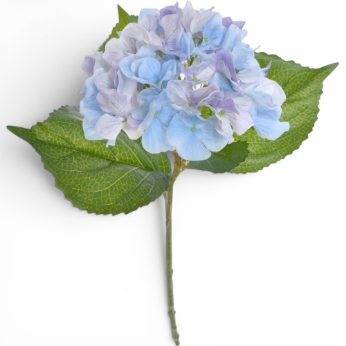 hortensja pojedyncza soft touch 1szt blue/violet (MAG1013)