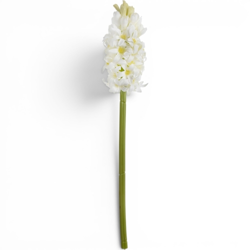 hiacynt pojedynczy, atłasowy 1szt #2321A white (SUN833)