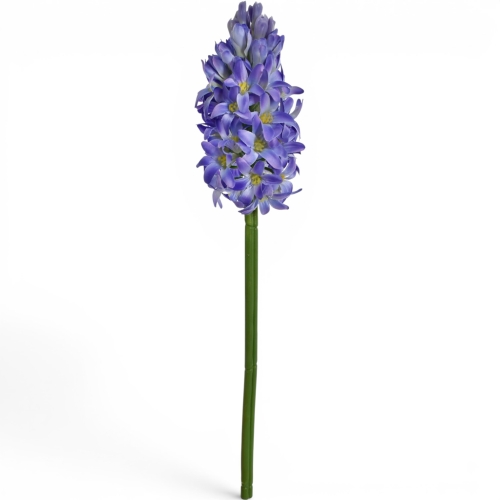 hiacynt pojedynczy, atłasowy 1szt #2822 violet/lt.blue (SUN833)