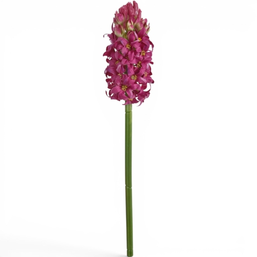 hiacynt pojedynczy, atłasowy 1szt #2713 fuchsia (SUN833)