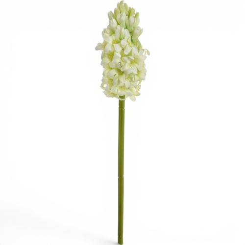 hiacynt pojedynczy, atłasowy 1szt #2019A lt.green (SUN833)