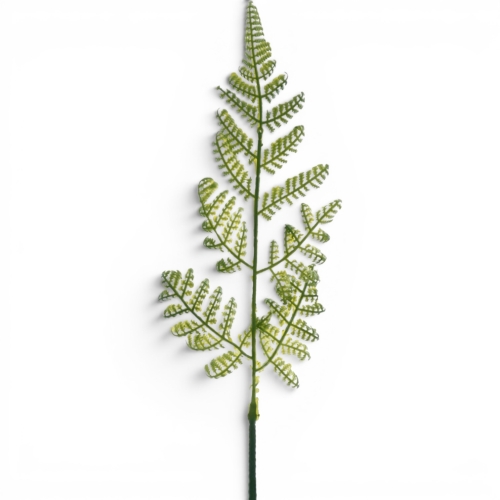 paprotka leśna 12szt green (JUN096)  A1132026A