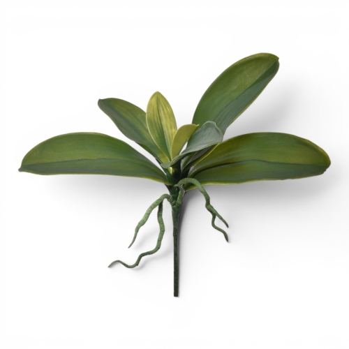 ulistnienie do storczyka 1szt zielony (SUN554)