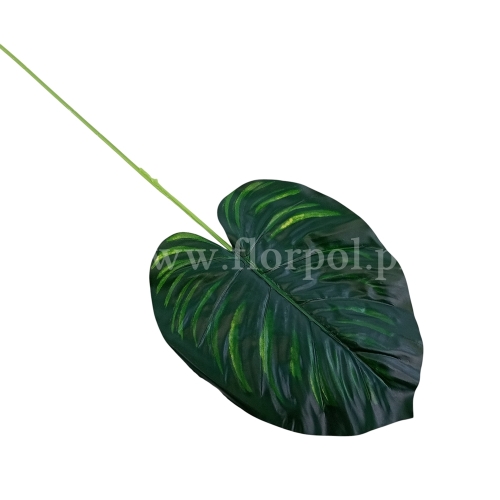 Filodendron liść 12szt ciemna zieleń/jasne cienie (L842)