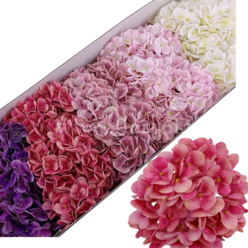 Hortensja wyrobowa - cerata - karton 36szt mix (T98-2509H)