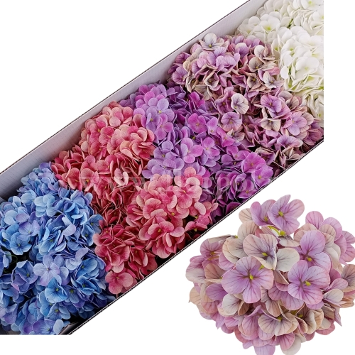 Hortensja wyrobowa - cerata - karton 36szt mix 2 (T98-2509H)
