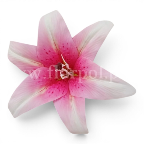 Lilia wyrobowa fi19 12szt róż/ecru (T98-2513)