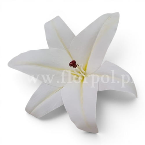 Lilia wyrobowa fi19 12szt ecru (T98-2513)