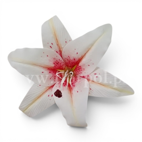 Lilia wyrobowa fi19 12szt ecru/truskawka (T98-2513)