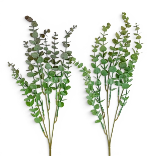 Eukaliptus trójka na łodydze - karton 48szt mix 2 (ABW035S3S)