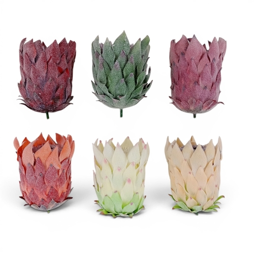 Protea flokowana - karton 6op mix 1 (T194-24-2510)
